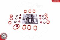 ESEN SKV 49SKV568 - Kit de reparación, módulo de tubo de aspiración