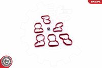 ESEN SKV 49SKV522 - Kit de reparación, módulo de tubo de aspiración