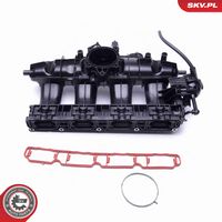 ESEN SKV 49SKV003 - Módulo colector de admisión