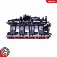 ESEN SKV 49SKV009 - Módulo colector de admisión