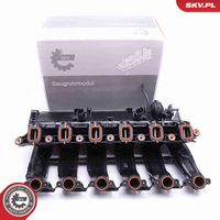 ESEN SKV 49SKV016 - Módulo colector de admisión