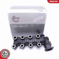 ESEN SKV 49SKV022 - Módulo colector de admisión