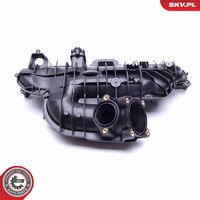 ESEN SKV 49SKV030 - Módulo colector de admisión