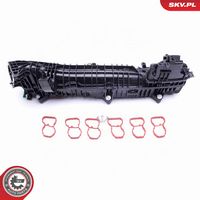 ESEN SKV 49SKV039 - Módulo colector de admisión