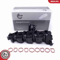 ESEN SKV 49SKV040 - Módulo colector de admisión