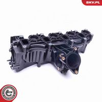 ESEN SKV 49SKV040 - Módulo colector de admisión