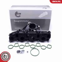 ESEN SKV 49SKV041 - Módulo colector de admisión