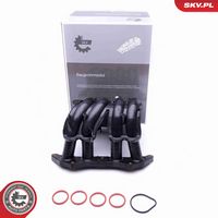 ESEN SKV 49SKV044 - Módulo colector de admisión