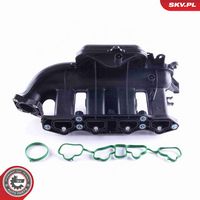 ESEN SKV 49SKV058 - Módulo colector de admisión