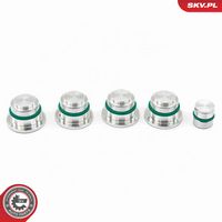 ESEN SKV 49SKV525 - Kit de reparación, módulo de tubo de aspiración