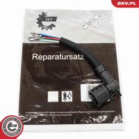 ESEN SKV 53SKV178 - Cable adaptador, luz trasera