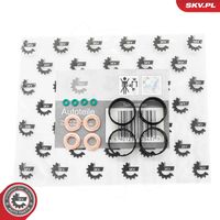 ESEN SKV 53SKV191 - Juego de juntas, inyector