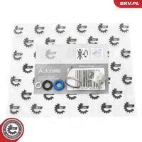 ESEN SKV 53SKV194 - Kit juntas, inyector