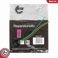 ESEN SKV 53SKV213 - Kit reparación cables, generador