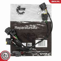 ESEN SKV 53SKV231 - Juego de cables de encendido