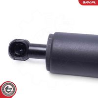 ESEN SKV 52SKV949 - Motor eléctrico, portón trasero