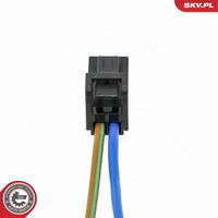 ESEN SKV 53SKV214 - Kit reparación cables, piloto matrícula