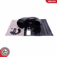 ESEN SKV 54SKV508 - Tubo flexible de aspiración, filtro de aire