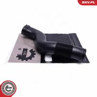 ESEN SKV 54SKV526 - Tubo flexible de aspiración, filtro de aire
