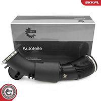 ESEN SKV 54SKV818 - Tubo flexible de aspiración, filtro de aire