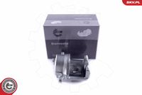 ESEN SKV 55SKV061 - Pinza de freno