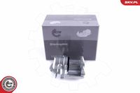 ESEN SKV 55SKV141 - Pinza de freno