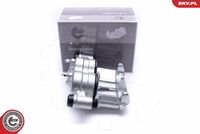 ESEN SKV 55SKV182 - Pinza de freno