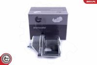 ESEN SKV 55SKV461 - Pinza de freno