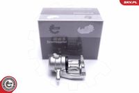 ESEN SKV 55SKV503 - Pinza de freno