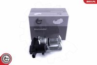 ESEN SKV 55SKV584 - Pinza de freno