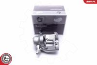 ESEN SKV 55SKV962 - Pinza de freno