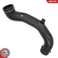 ESEN SKV 54SKV817 - Tubo flexible de aspiración, filtro de aire