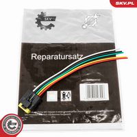 ESEN SKV 53SKV179 - Kit reparación cables, válvula EGR