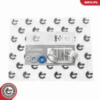 ESEN SKV 53SKV295 - kit de reparación, inyector