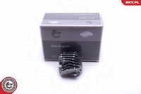 ESEN SKV 59SKV086 - Unidad de control, iluminación