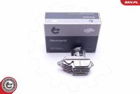 ESEN SKV 59SKV137 - Unidad de control, faros dinámicos curva