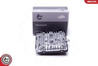 ESEN SKV 59SKV183 - Unidad de control, iluminación
