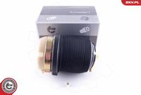 ESEN SKV 58SKV029 - Muelle neumático, suspensión