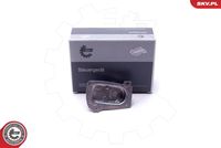 ESEN SKV 59SKV101 - Unidad de control, iluminación