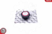 ESEN SKV 61SKV006 - Tapón, depósito de refrigerante