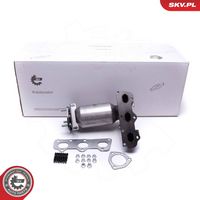 ESEN SKV 62SKV007 - Catalizador