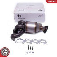 ESEN SKV 62SKV008 - Catalizador