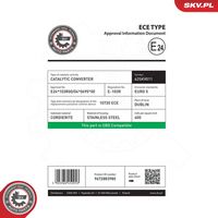 ESEN SKV 62SKV011 - Catalizador