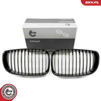 ESEN SKV 66SKV006 - Panal de radiador