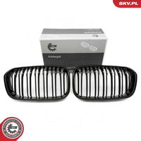 ESEN SKV 66SKV021 - Panal de radiador
