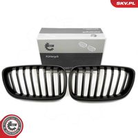 ESEN SKV 66SKV030 - Panal de radiador