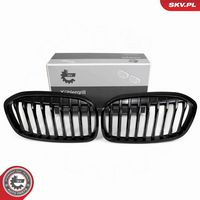 ESEN SKV 66SKV041 - Panal de radiador