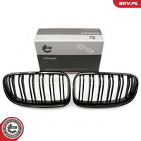 ESEN SKV 66SKV116 - Panal de radiador