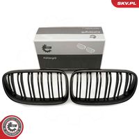 ESEN SKV 66SKV117 - Panal de radiador