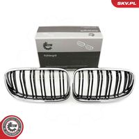 ESEN SKV 66SKV118 - Panal de radiador